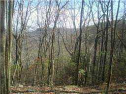 2402 Clifftops Ave Monteagle, TN 37356