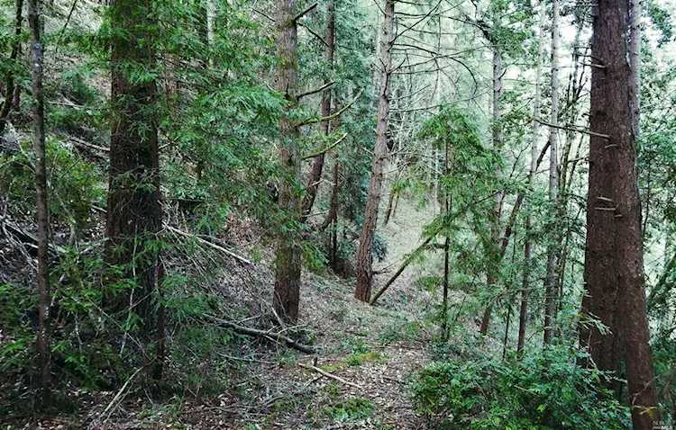 0 Hwy 116 Guerneville, CA 95446