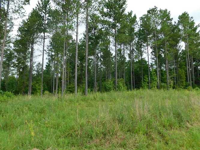TBD Cr 430 Oxford, MS 38655 | MLS 144909 Photo 1