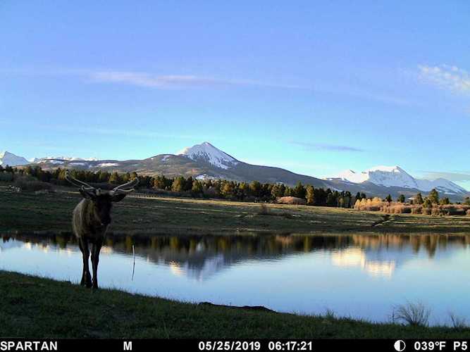 3800 Peninsula Dr Placerville, COLORADO 81430