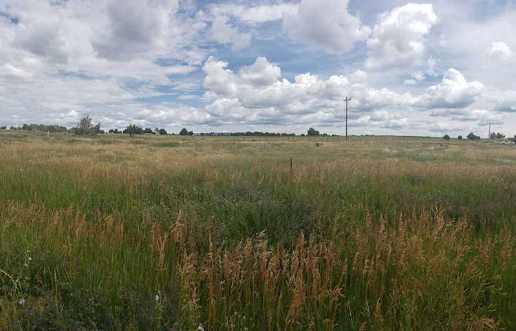 TBD W. Homestead Drive #75 Norwood, COLORADO 81423