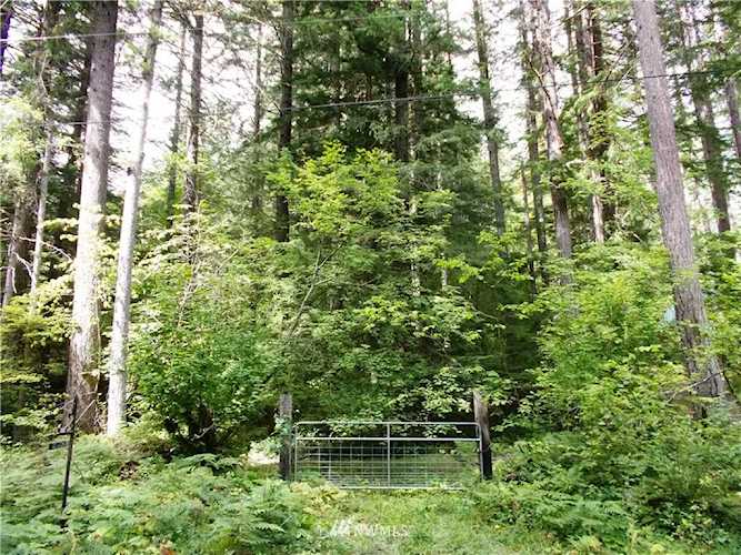 134 Richer Dr Packwood, WA 98361 MLS# 1508619 | PNWR.com Photo 1