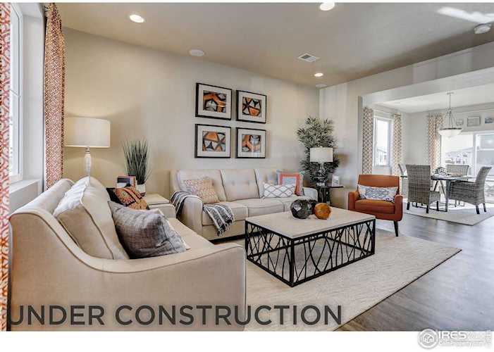 3838 Buckthorn St Wellington, CO 80549