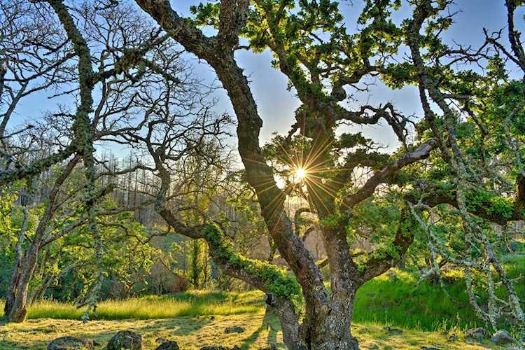2727 Bennett Ridge Road Santa Rosa, CA 95404
