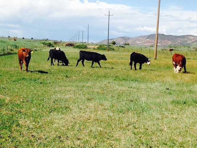 18.09 Acres Outside Kanarra Kanarraville, UT 84742