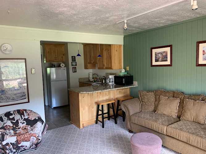 651 S Snowflake #308 Brian Head, UT 84719