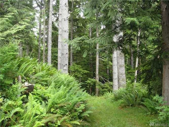 9999 Sea Home Rd Quilcene, WA 98376
