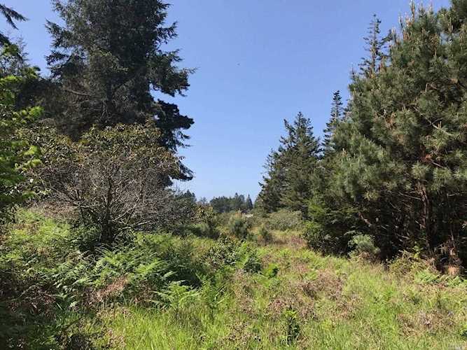 833 River Beach Road The Sea Ranch, CA 95497
