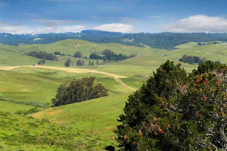 3501 Valley Ford-Franklin School Road Petaluma, CA 94953