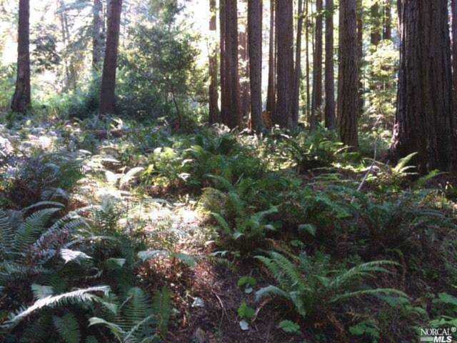 36450 Deep Woods Drive The Sea Ranch, CA 95497 | MLS 21810536 Photo 1