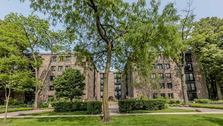 1009 Bonnie Brae Place #2A River Forest, IL 60305