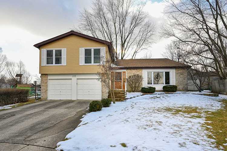 233 Seneca Ct Bolingbrook, IL 60440
