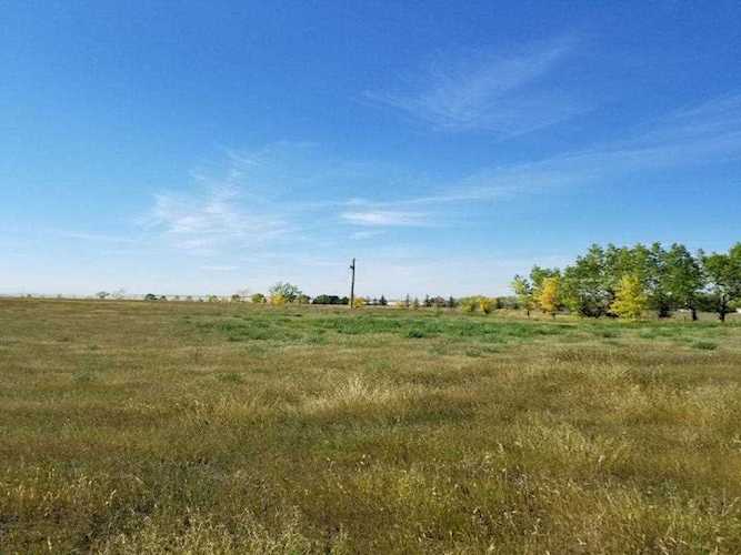 450243 118 Street E Rural Foothills County, AB T1V 1N3