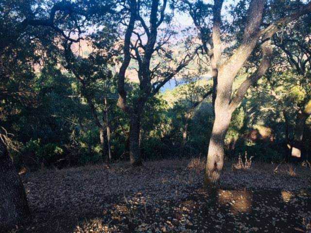 17370 Hawkins Lane Morgan Hill, CA 95037