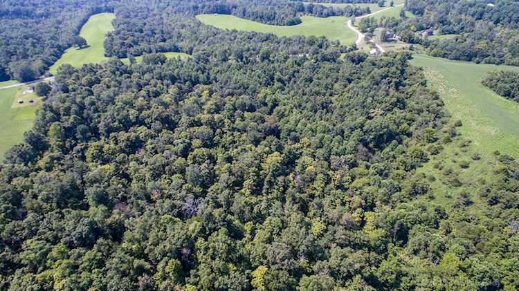 Tract 2 Hickory Ridge Rd Mt Eden, KY 40046 | MLS 1539537 Photo 1