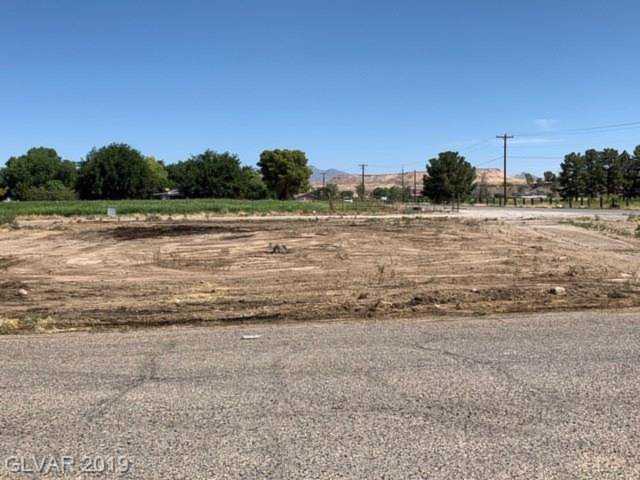 1910 Jim Haworth Ct Logandale, NV 89021
