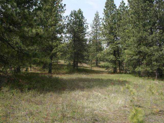 7850 E Eagles Nest Ln Chattaroy, WA 99009 | MLS 202012457 Photo 1