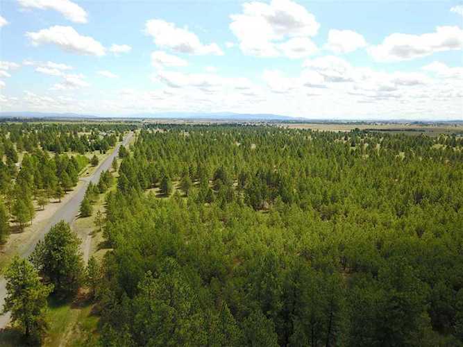 000 W Buckboard Ave Medical Lake, WA 99022 | MLS 202011677 Photo 1