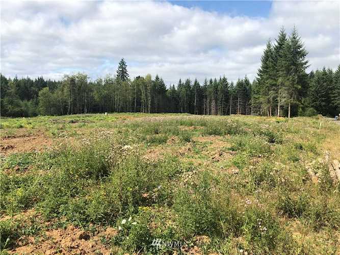 121 Woodview Lane Napavine, WA 98565 MLS# 1503875 | PNWR.com Photo 1