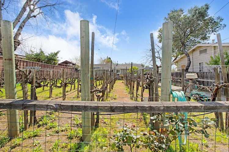 175 E Spain Street Sonoma, CA 95476