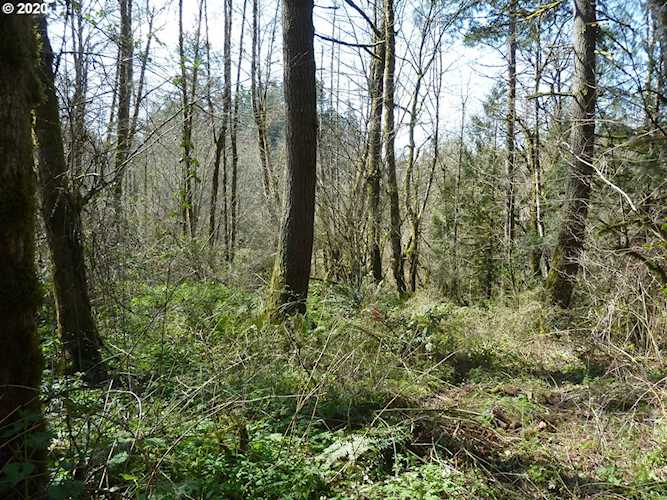 0 NE Highland Ave La Center, WA 98629