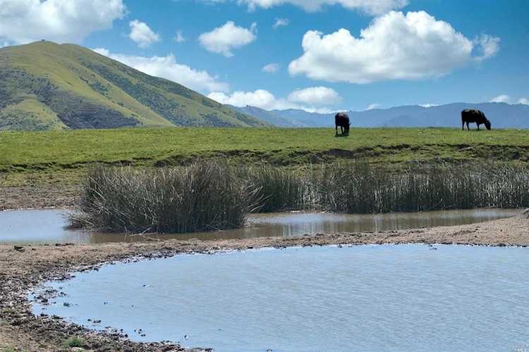 200 Tomasini Canyon Road Pt. Reyes Station, CA 94956