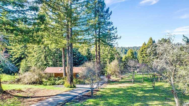 16910 Taylor Lane Occidental, CA 95465