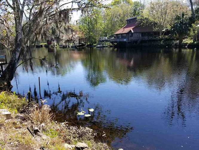 23224 Ladson Lane Lamont, FL 32336 in Nutall Rise