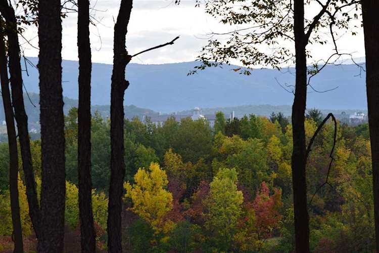 TBD Cider Mill Rd Cornwall, VT 05753