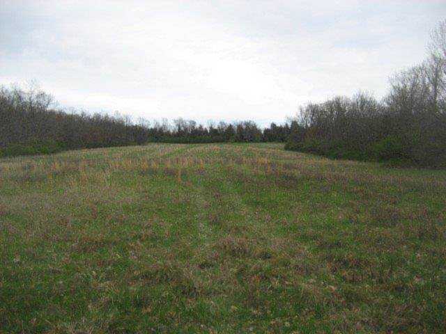 1461 Wildcat Road Lawrenceburg, KY 40342