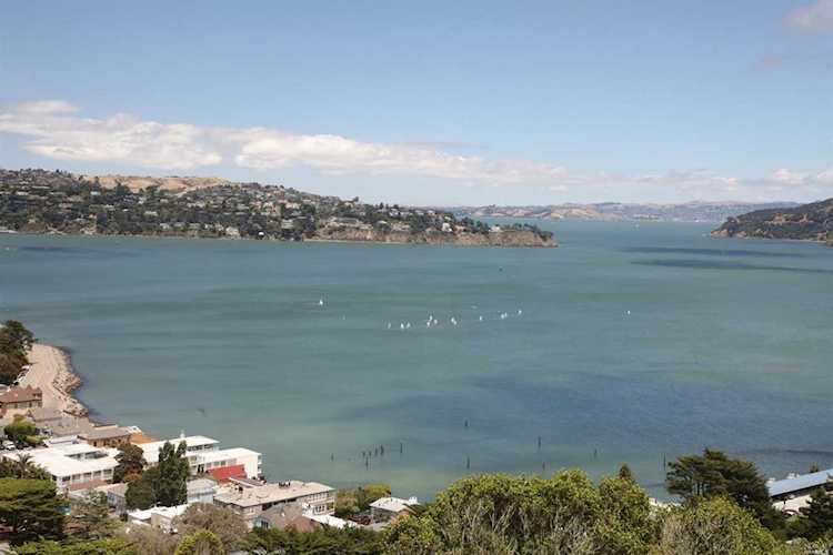 62 Marion Avenue Sausalito, CA 94965