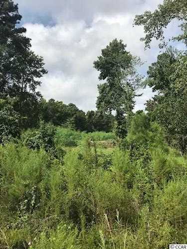 Lot 4 Wavery Rd. Pawleys Island, SC 29585