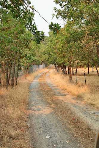 1788 Birdseye Creek Rd Gold Hill Jackson OR { zip} Photo 1