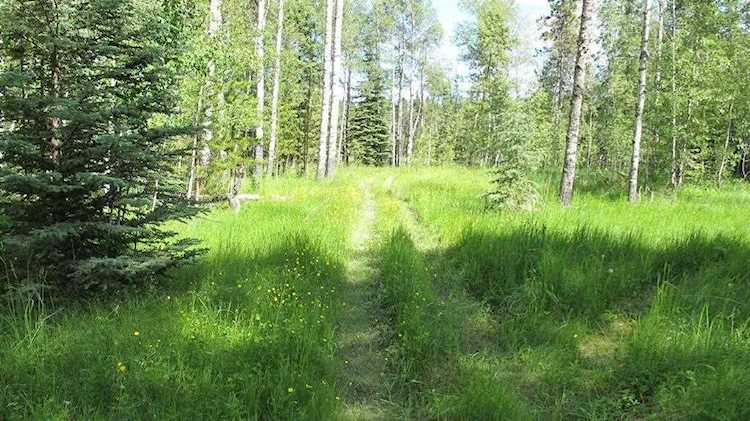 111 acres Bragg Creek/Priddis Street W Rural Foothills County, AB T0L 0K0