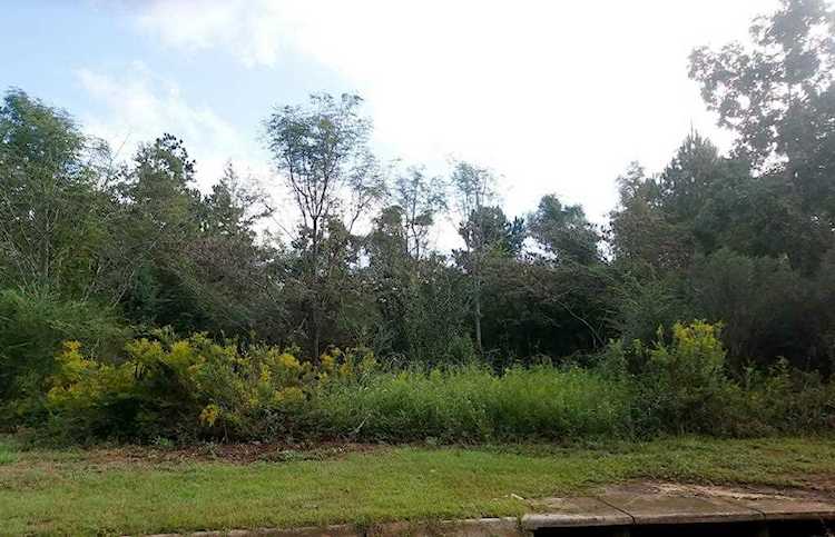 0 Old Mill Run Dothan, AL 36303