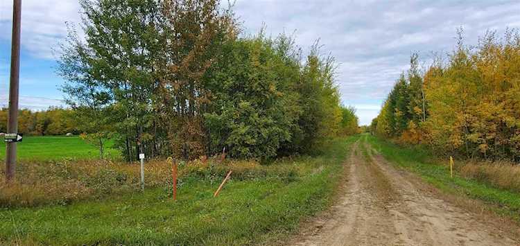 NE-14-66-19-4, Boyle Rural Athabasca County, AB T0A 0M0
