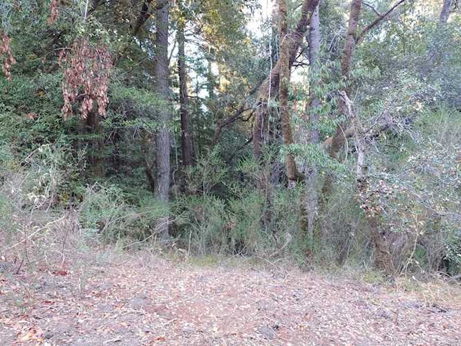8301 Tyrone Road Camp Meeker, CA 95419 | MLS 21928143 Photo 1