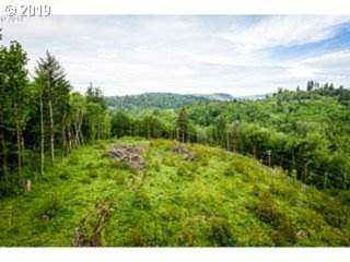 0 Canyon Creek Rd Washougal, WA 98671