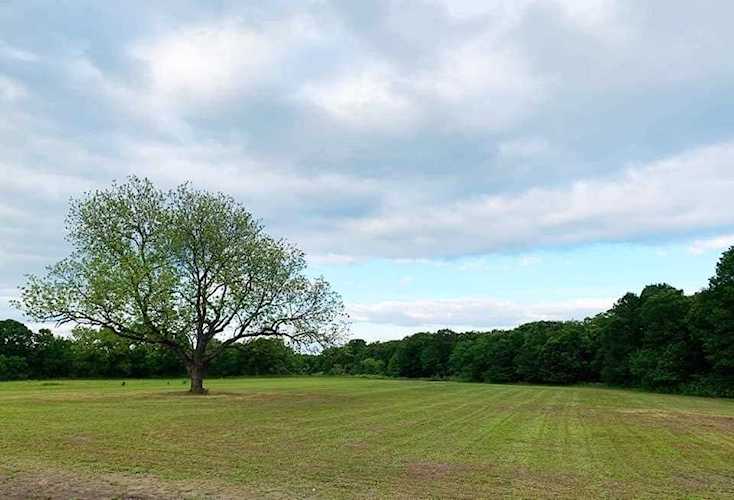 8137 Joella Lane Grandview, TX 76050