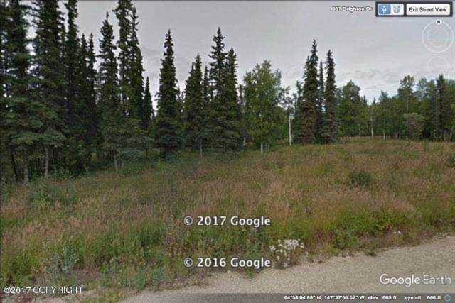 L11 B2 Brighton Drive Fairbanks, AK 99712