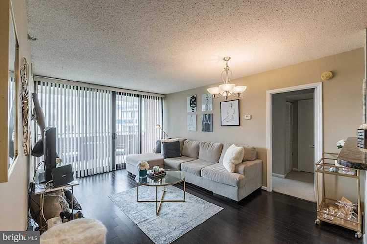 1001 Randolph St #819 Arlington, VA 22201