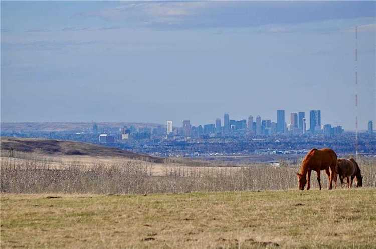 32026 274 Ave W De Winton, AB T0L 0X0