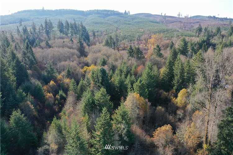 0 Hwy 6 Pe Ell, WA 98572 | MLS ® 1537935 Photo 1