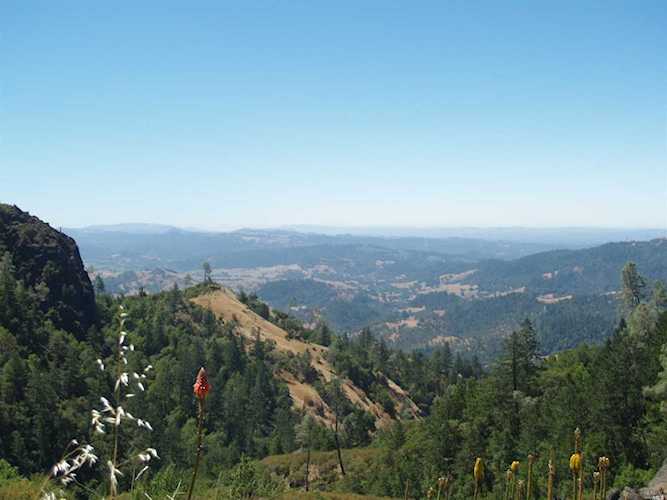 9745 Pine Flat Road Healdsburg, CA 95448