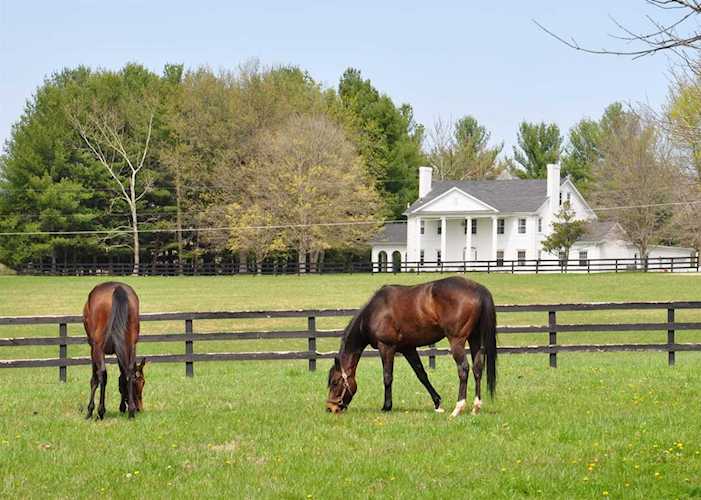 855 S Benson Road Frankfort, KY 40601