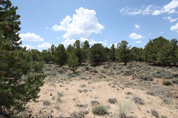 795 N Russell RD Hatch, UT 84735