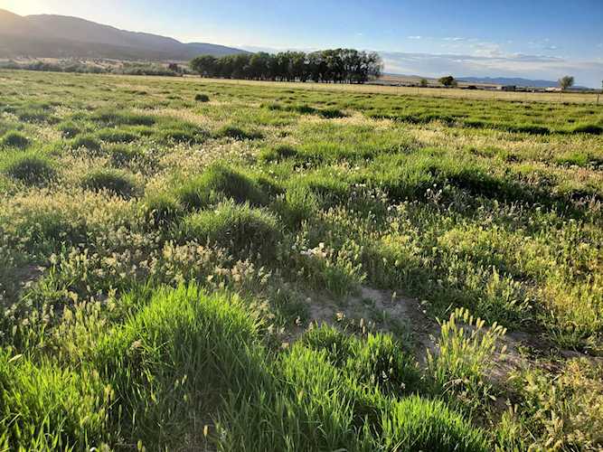 350 W 335 S Kanarraville, UT 84742