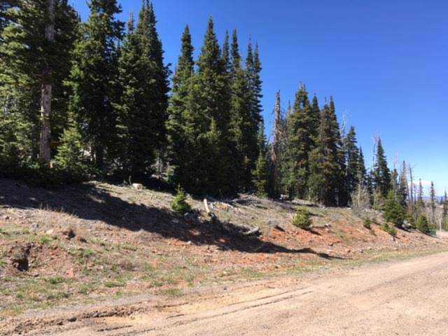 694 W Hunter Ridge Brian Head, UT 84719
