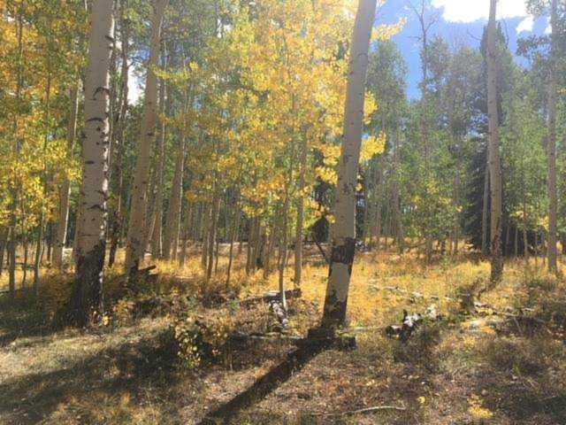 Lots 8 & 9 Greenmeadowacres Un1 Blk A Brian Head, UT 84719