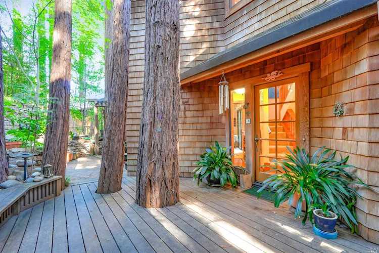 390 Monte Vista Avenue Mill Valley, CA 94941